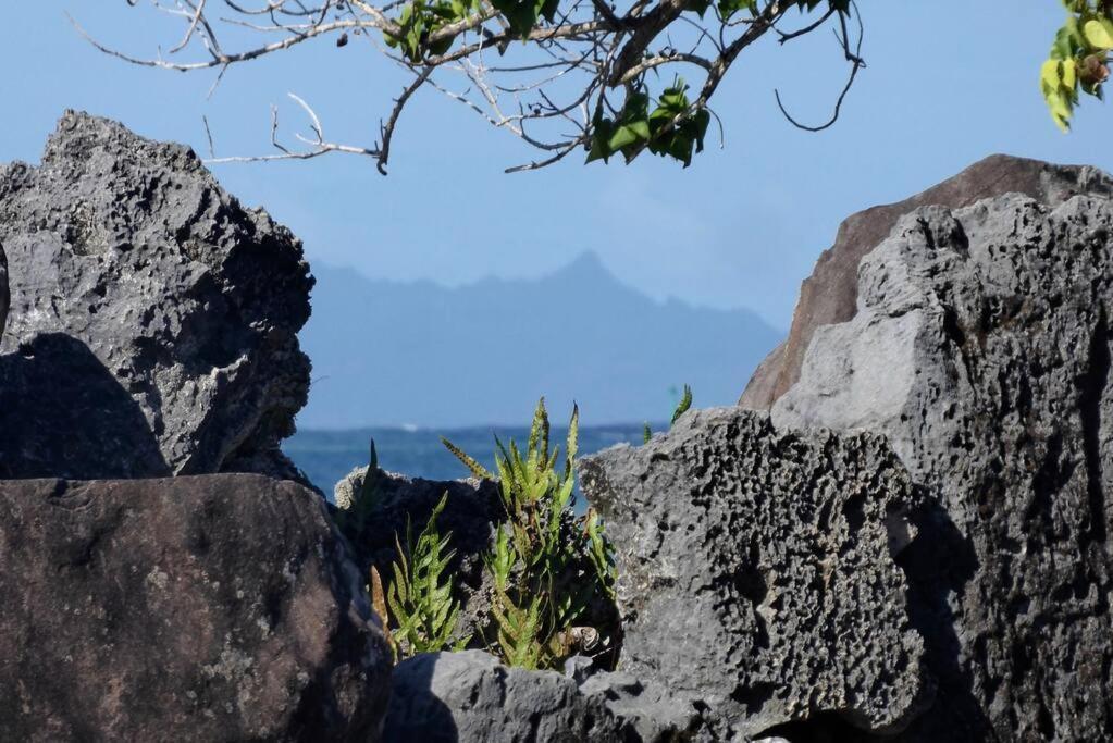 Raiatea, Opoa, Studio Du Fare Reve, Acces Mer Privatif المظهر الخارجي الصورة