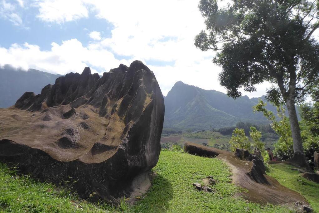 Raiatea, Opoa, Studio Du Fare Reve, Acces Mer Privatif المظهر الخارجي الصورة