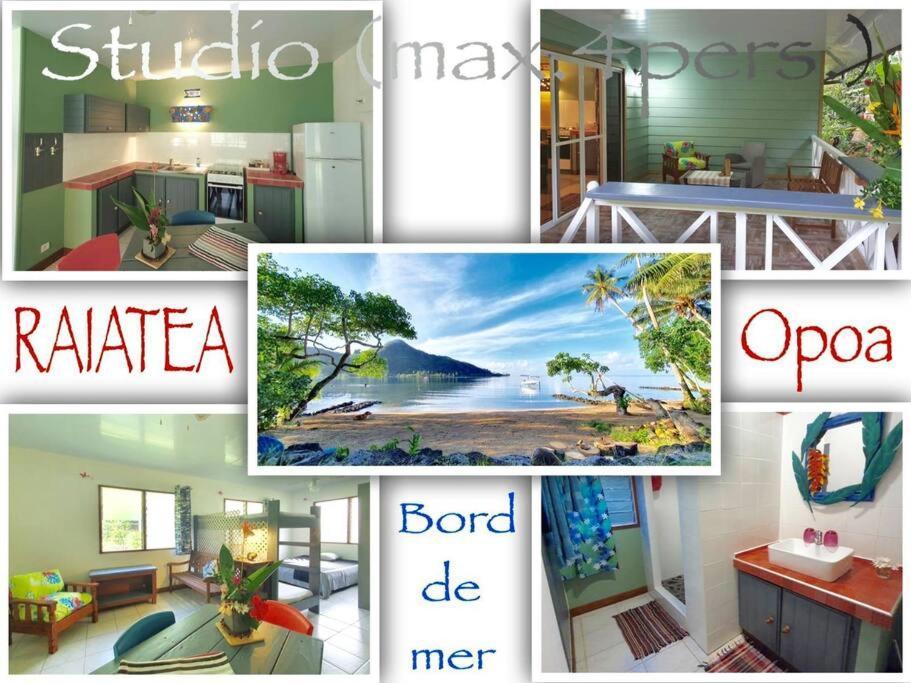Raiatea, Opoa, Studio Du Fare Reve, Acces Mer Privatif المظهر الخارجي الصورة