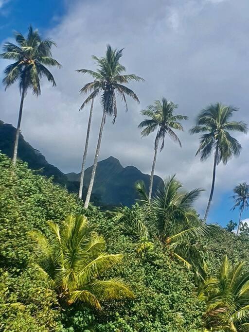 Raiatea, Opoa, Studio Du Fare Reve, Acces Mer Privatif المظهر الخارجي الصورة