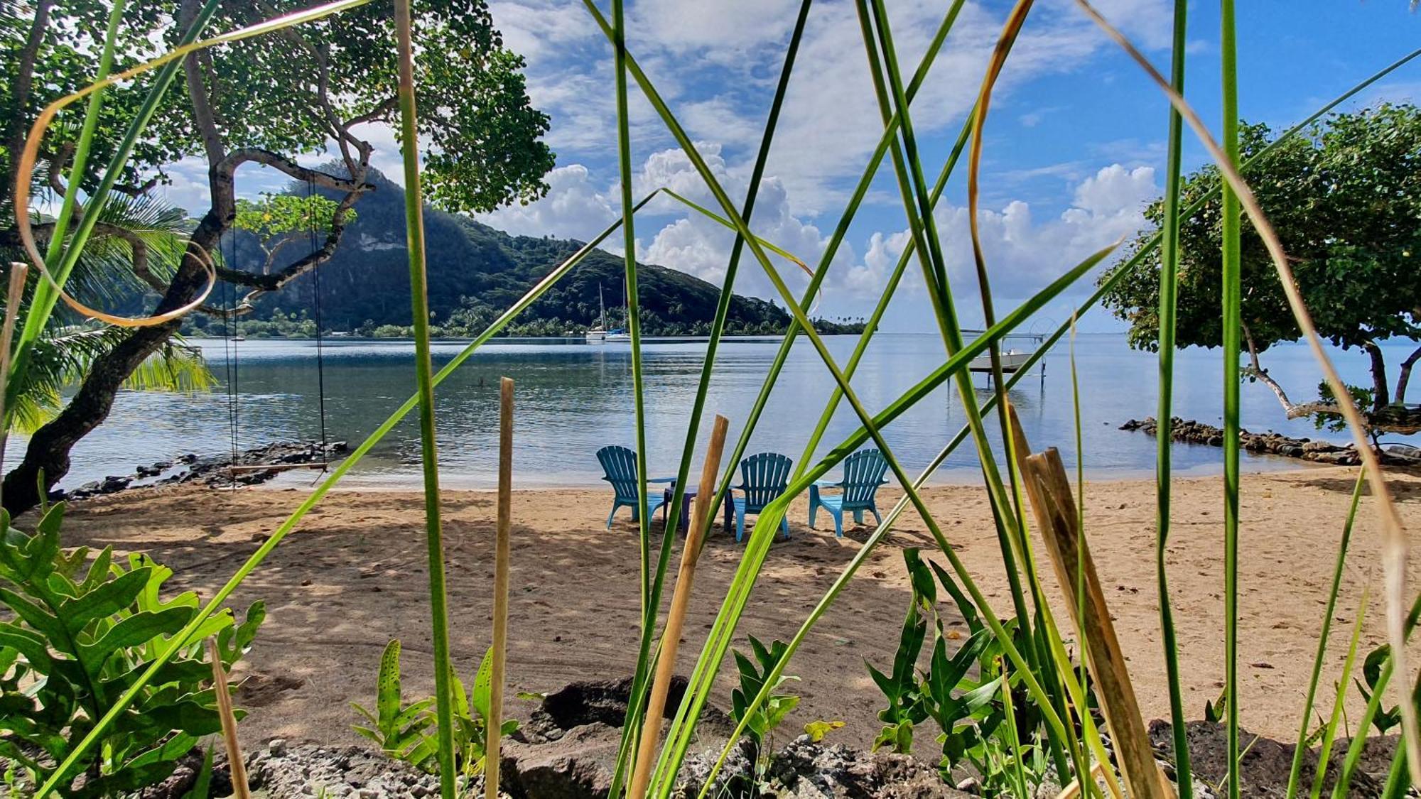 Raiatea, Opoa, Studio Du Fare Reve, Acces Mer Privatif المظهر الخارجي الصورة